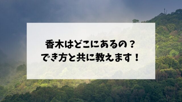 香木はどこにあるの？でき方と共に教えます！