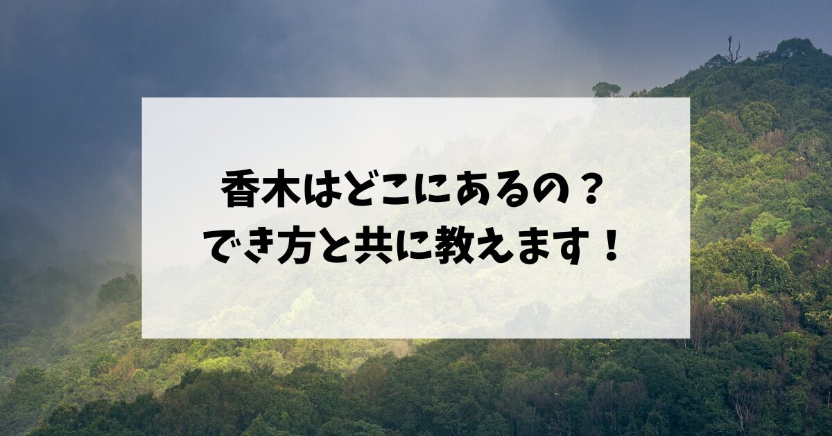 香木はどこにあるの？でき方と共に教えます！